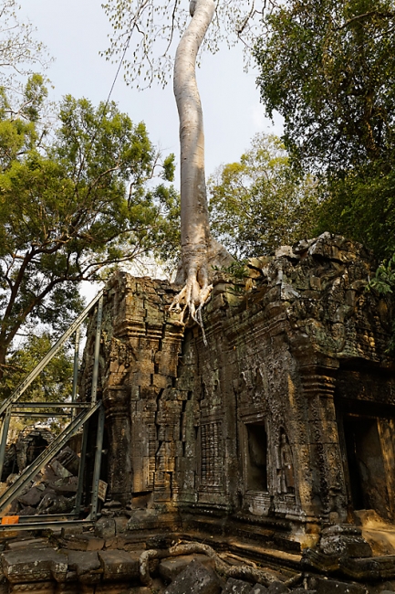 Ta Phrom et environs-048